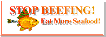 Stop
Beefing Eat More Seafood Bumper Sticker