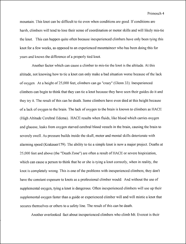Research Paper - Final
Version: Guided into a Disaster by Ryan Primosch